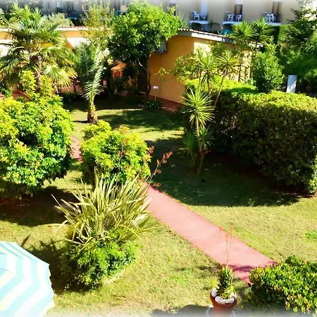 Anfora 3*